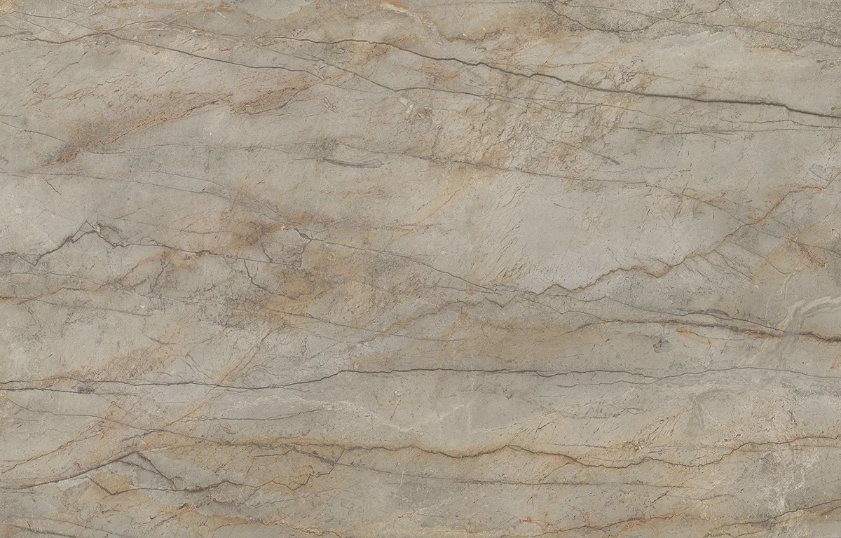 Atlas Plan Silver Root deseni