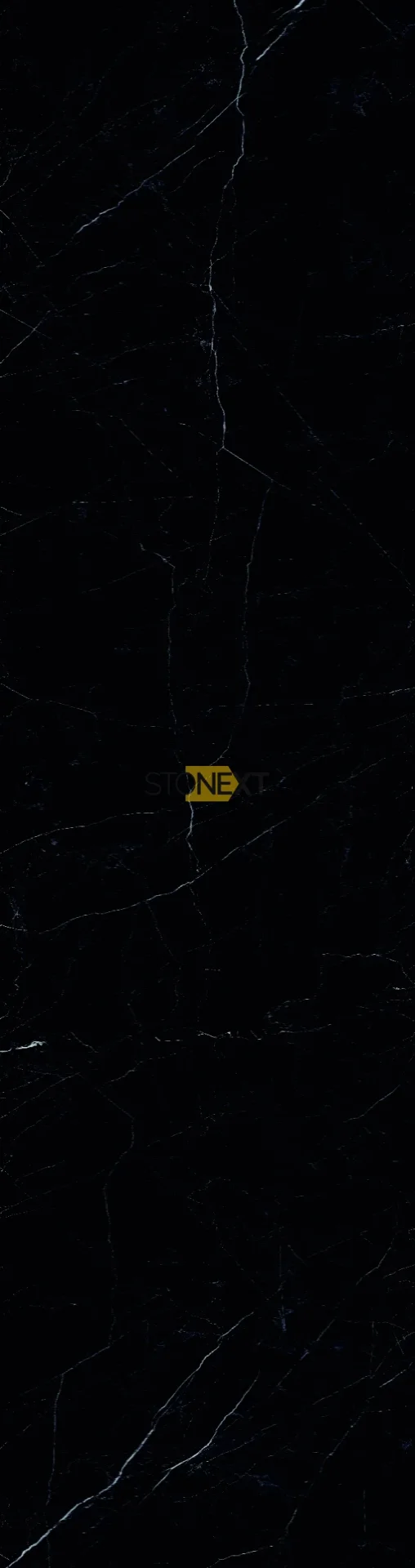 Stonext Picasso Black deseni