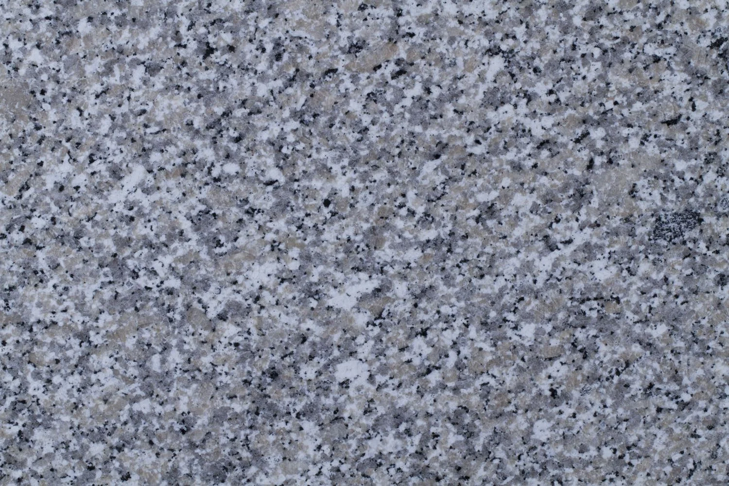 Bianco Sardo deseni