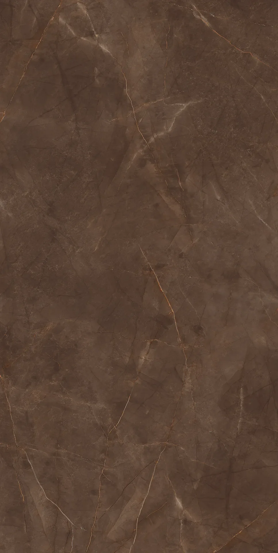 Infinity Pulpis Brown deseni