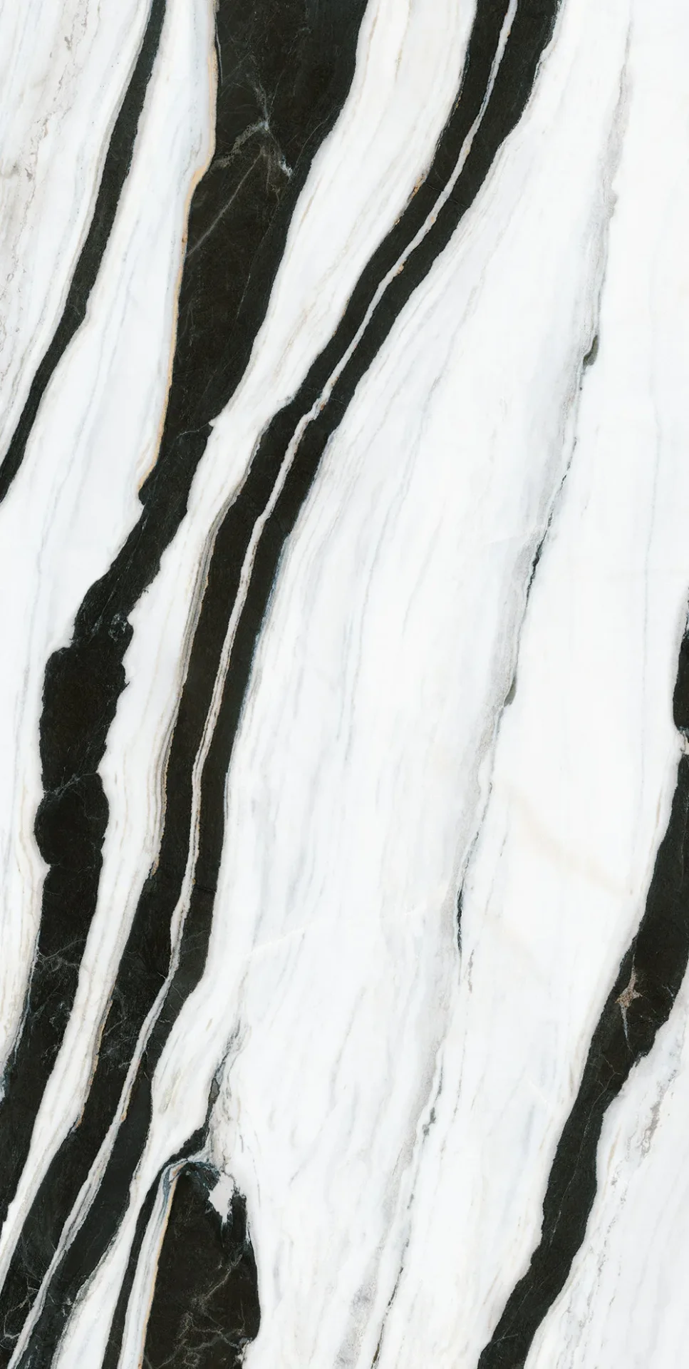 Infinity Panda White deseni
